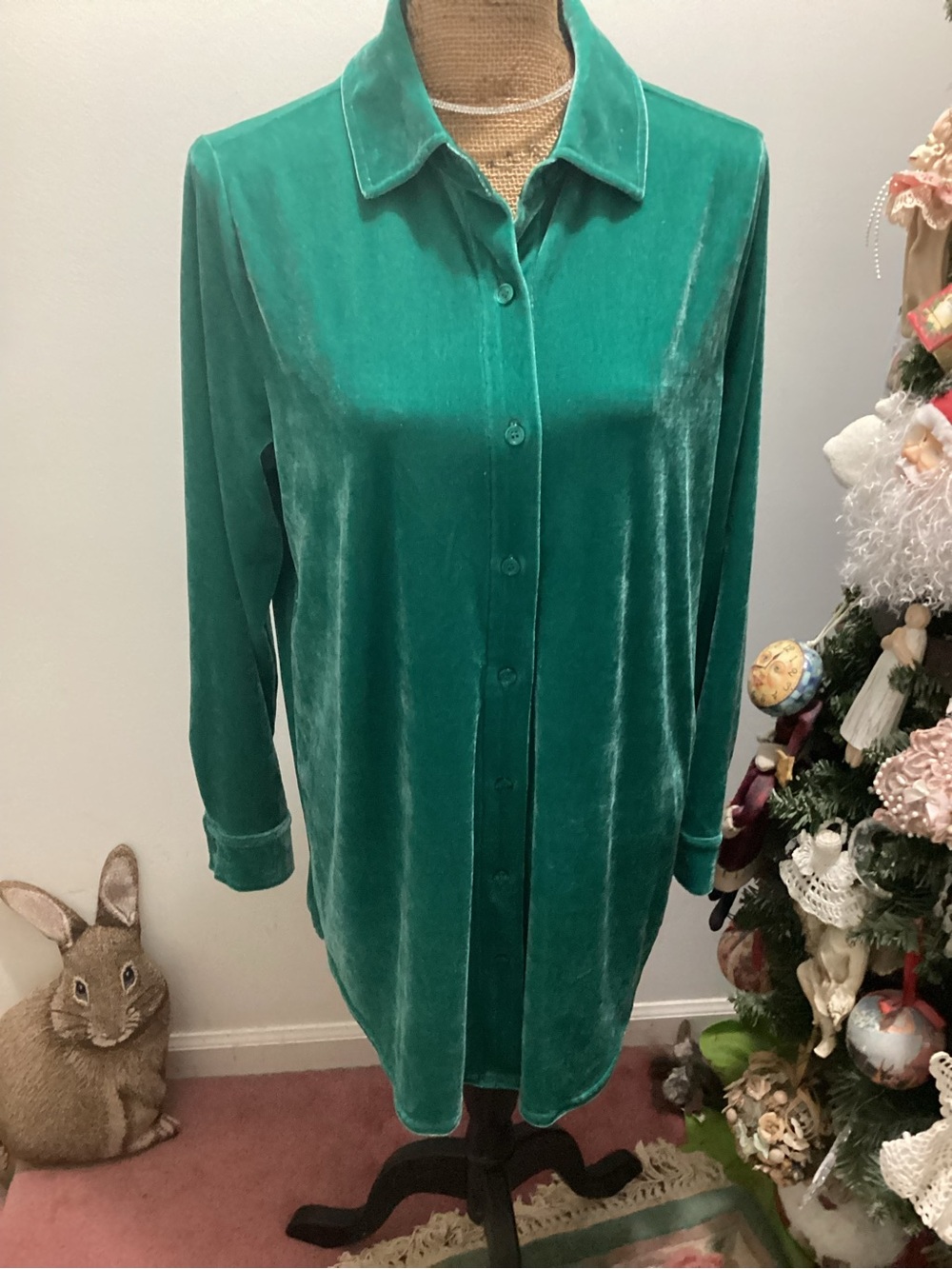 Soft Surroundings Velvet Tunic